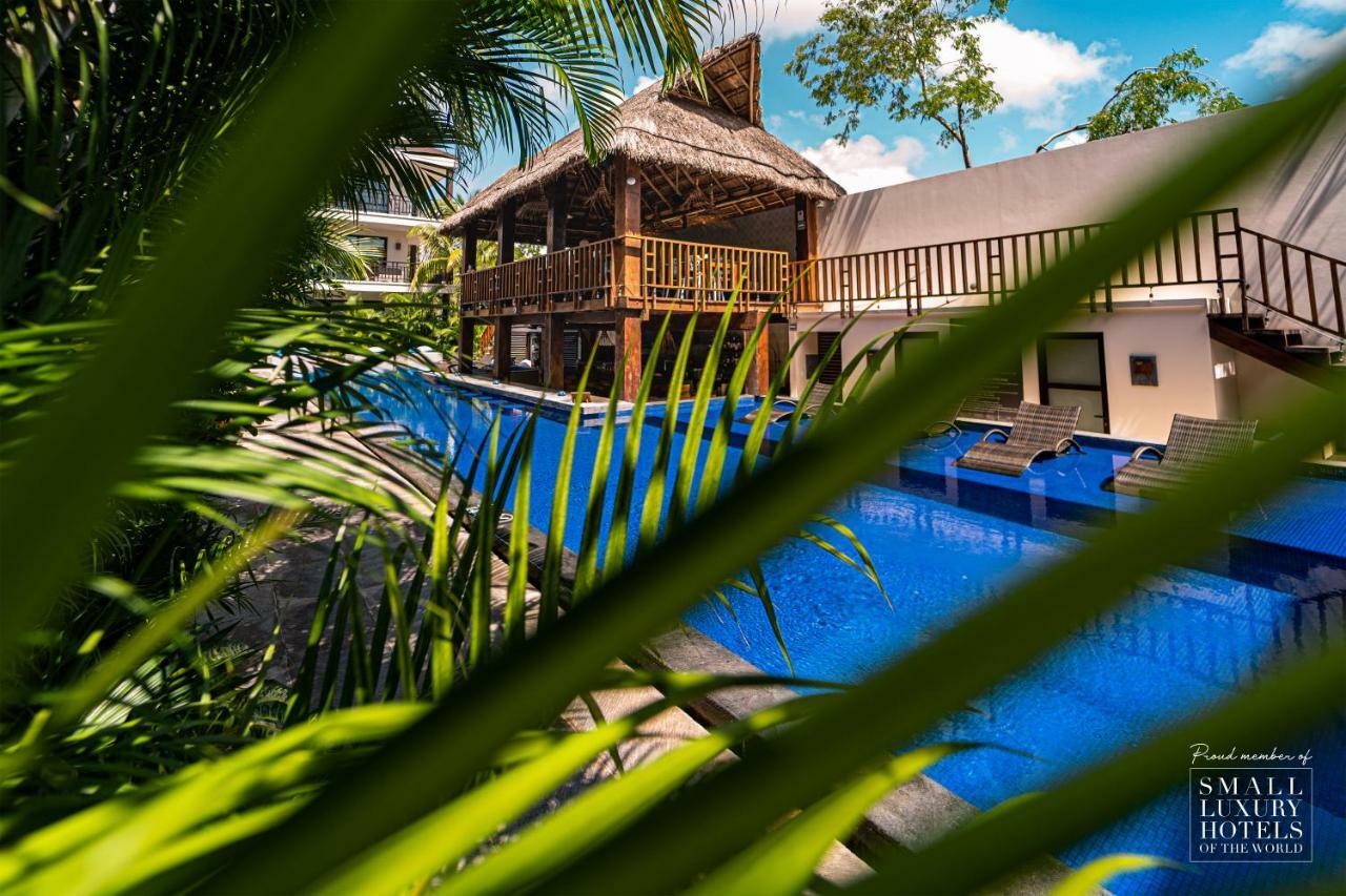 Kasa Hotel Parota 툴룸 외부 사진